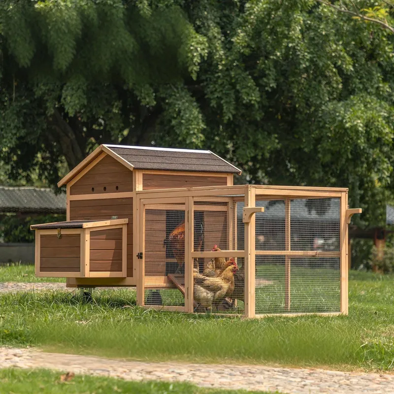 Large Sustainable Wooden Chick - đánh giá và giá Sustainable Living Walla Walla