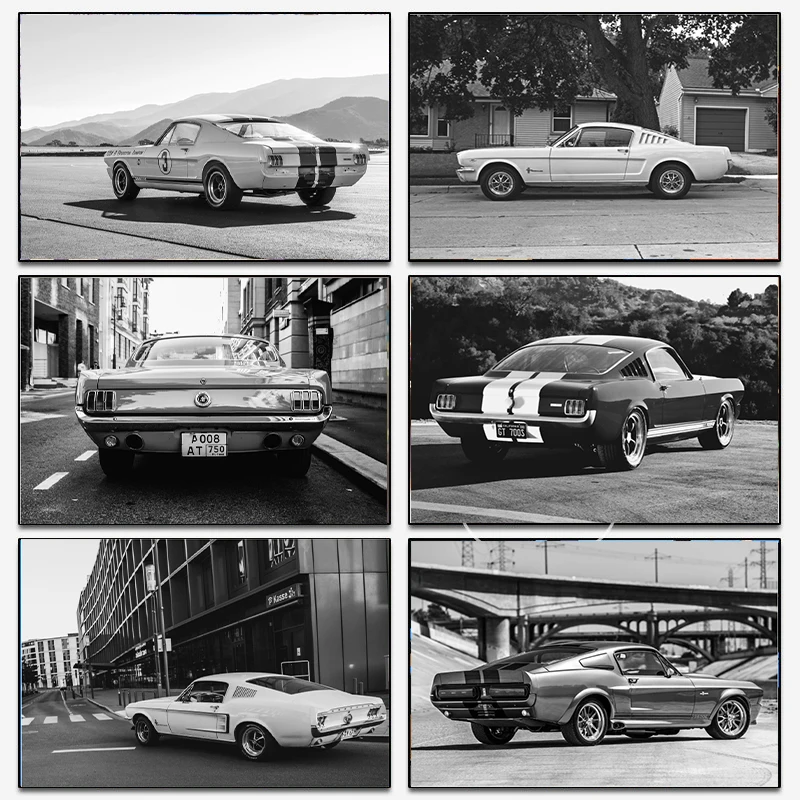 Black and White Ford Mustang C - đánh giá và giá Sustainable Living Products