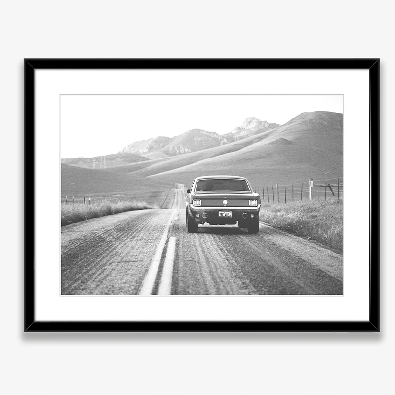 Black and White Ford Mustang C - đánh giá và giá Sustainable Living Products