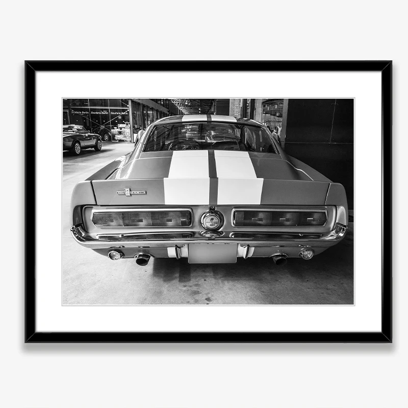 Black and White Ford Mustang C - đánh giá và giá Sustainable Living Products